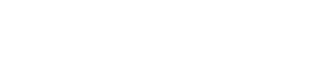 SP1 - Institut für bundesweite Schulungen | Logo negativ